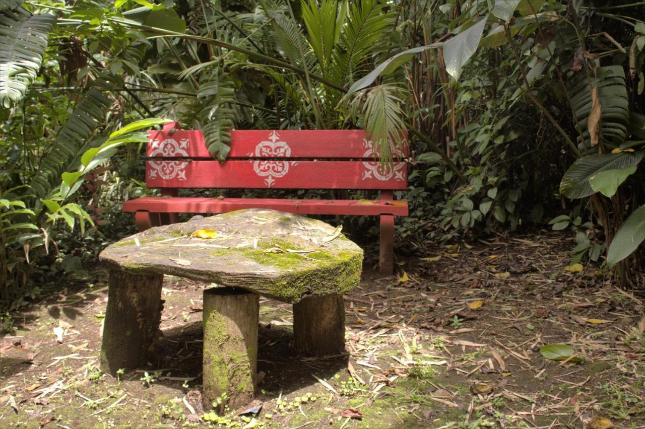 Salamandra Costa Rica Jimenez エクステリア 写真